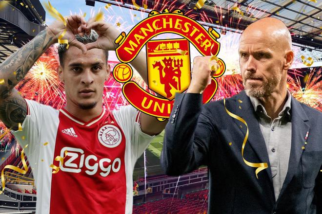 从而提高自 从而提高自