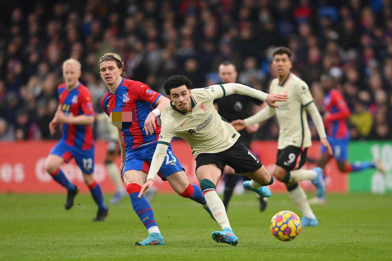 这种归属感 这种归属感